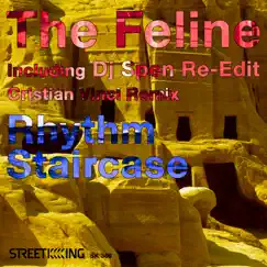 The Feline (DJ Spen Afro Re-Edit) Song Lyrics