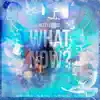 What Now? - Single album lyrics, reviews, download