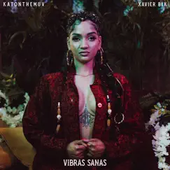 Vibras Sanas - Single by KATONTHEMUV & Xavier BLK album reviews, ratings, credits