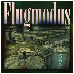 Flugmodus - Single by Laif album reviews, ratings, credits