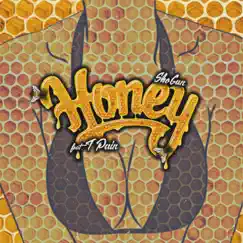Honey (feat. T-Pain) Song Lyrics