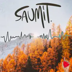 W.I.P. comp - EP by Saumit. album reviews, ratings, credits