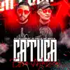 Cutuca Essa Maluca (feat. DJ Hallz & MC Becca) song lyrics