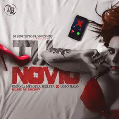 Tu Novio - Single by Enzo La Melodia Secreta & Lobo Malo album reviews, ratings, credits
