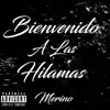 Bienvenido A Las Hilamas - Single album lyrics, reviews, download
