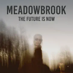 The Future Is Now by Meadowbrook album reviews, ratings, credits