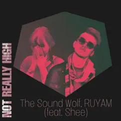 Not Really High (feat. Shee) - Single by The Sound Wolf & RUYAM album reviews, ratings, credits