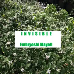 INVISIBLE - Single by Embryoshi Mayall album reviews, ratings, credits