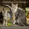 Relaxing Cat Songs: Lullaby Melodies Engineered for Your Cat album lyrics, reviews, download
