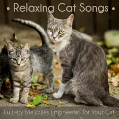 Relaxing Cat Songs: Lullaby Melodies Engineered for Your Cat by Cat Music Dreams & Cat Music Therapy album reviews, ratings, credits