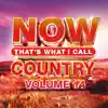 NOW That's What I Call Country, Vol. 14 by Various Artists album lyrics