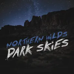 Dark Skies - Single by Northern Wilds album reviews, ratings, credits