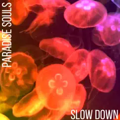 Slow Down - Single by PARADISE SOULS album reviews, ratings, credits