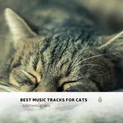 Best Music Tracks for Cats - Soothing Songs by Various Artists album reviews, ratings, credits
