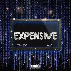 Expensive (feat. Surf) Song Lyrics