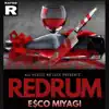 ReDRuM - Single album lyrics, reviews, download