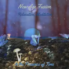 In the Presence of Time by New Age Fusion album reviews, ratings, credits