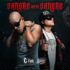 Sangre De Mi Sangre Song Lyrics