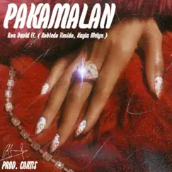 PAKAMALAN (feat. Robledo Timido & Kayla Melyn) Song Lyrics