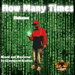 How Many Times - Single by Elshoma album reviews, ratings, credits