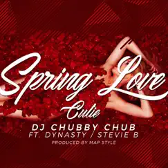 Spring Love Cutie (feat. Dynasty & Stevie B) - Single by DJ Chubby Chub album reviews, ratings, credits