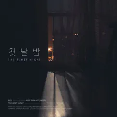 The First Night - Single by BEN & Kim Won Joo album reviews, ratings, credits