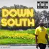 Down South (feat. Pierce Washington) - Single album lyrics, reviews, download