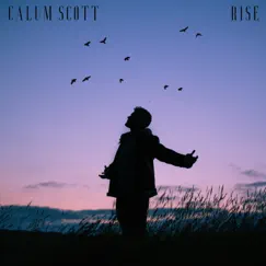 Rise - Single by Calum Scott album reviews, ratings, credits