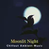 Moonlit Night Chillout Ambient Music album lyrics, reviews, download