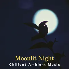 Moonlit Night Chillout Ambient Music by Relaxing Guitar Crew album reviews, ratings, credits