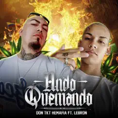 Ando Quemando (feat. Lebron) - Single by Don Tkt Hemafia album reviews, ratings, credits