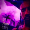 Purple Leaves - Single album lyrics, reviews, download