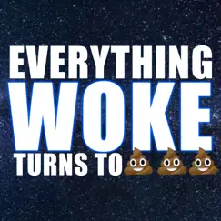 Everything Woke - Single by The Remix Bros album reviews, ratings, credits