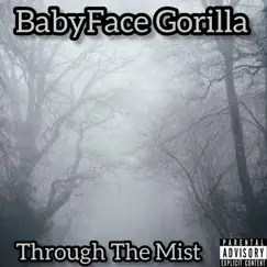 Through the Mist (Main Mix) - Single by BabyFace Gorilla album reviews, ratings, credits