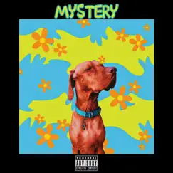 Mystery (feat. D Wavy) - Single by Vitamjn album reviews, ratings, credits