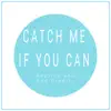 Reprise and End Credits (Music Inspired by the Film) [From Catch Me If You Can (Piano Version)] song lyrics