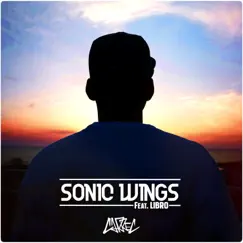 Sonic Wings (feat. Libro) - Single by CARREC album reviews, ratings, credits