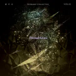 Worship Collective, Vol. 2: 영원한 은혜 - Single by SHEKINAH album reviews, ratings, credits