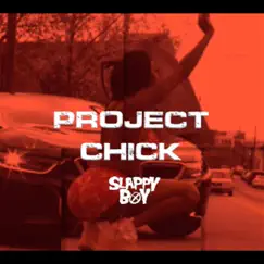 Project Chick Song Lyrics