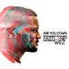 Are You Down - Single album lyrics, reviews, download