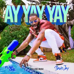 Ay Yay Yay - Single by David Jay & FlavaOne album reviews, ratings, credits