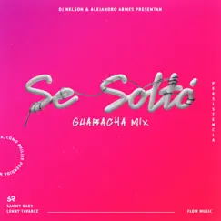 Se Soltó (Guaracha Remix) [feat. Alejandro Armes] - Single by Sammy Baby, Lenny Tavárez & DJ Nelson album reviews, ratings, credits