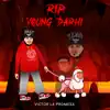 Rip Young Darhi - Single album lyrics, reviews, download