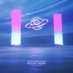Right Now (feat. Nobinh) - Single by Jordin Dejong & Vosai album reviews, ratings, credits