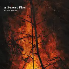 A Forest Fire (Instrumental Version) Song Lyrics
