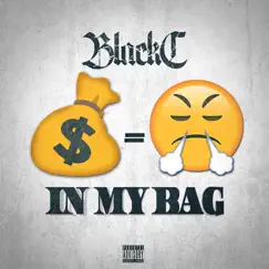 In My Bag - Single by Black C album reviews, ratings, credits