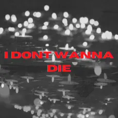 I Dont Wanna Die Song Lyrics