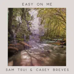 Easy On Me (Piano Acoustic) Song Lyrics