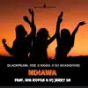 Ndiawa - Single (feat. Big Ropza & DJ JERRY SA) - Single album lyrics, reviews, download
