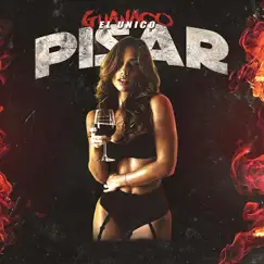 Pisar - Single by Guanaco el Unico album reviews, ratings, credits